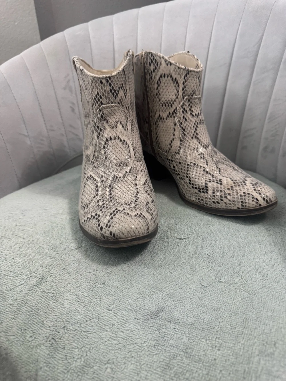Rampage Snake-Print Ankle Booties in Beige and Black